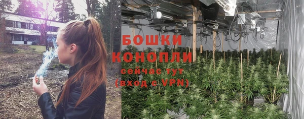 СК Нефтекумск