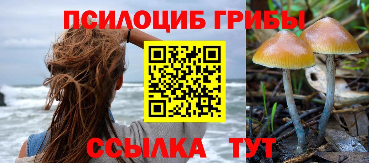 Моздок  Псилоцибиновые грибы мухоморы  Вход с VPN 