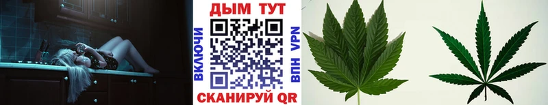 Бошки Шишки Amnesia  Моздок 